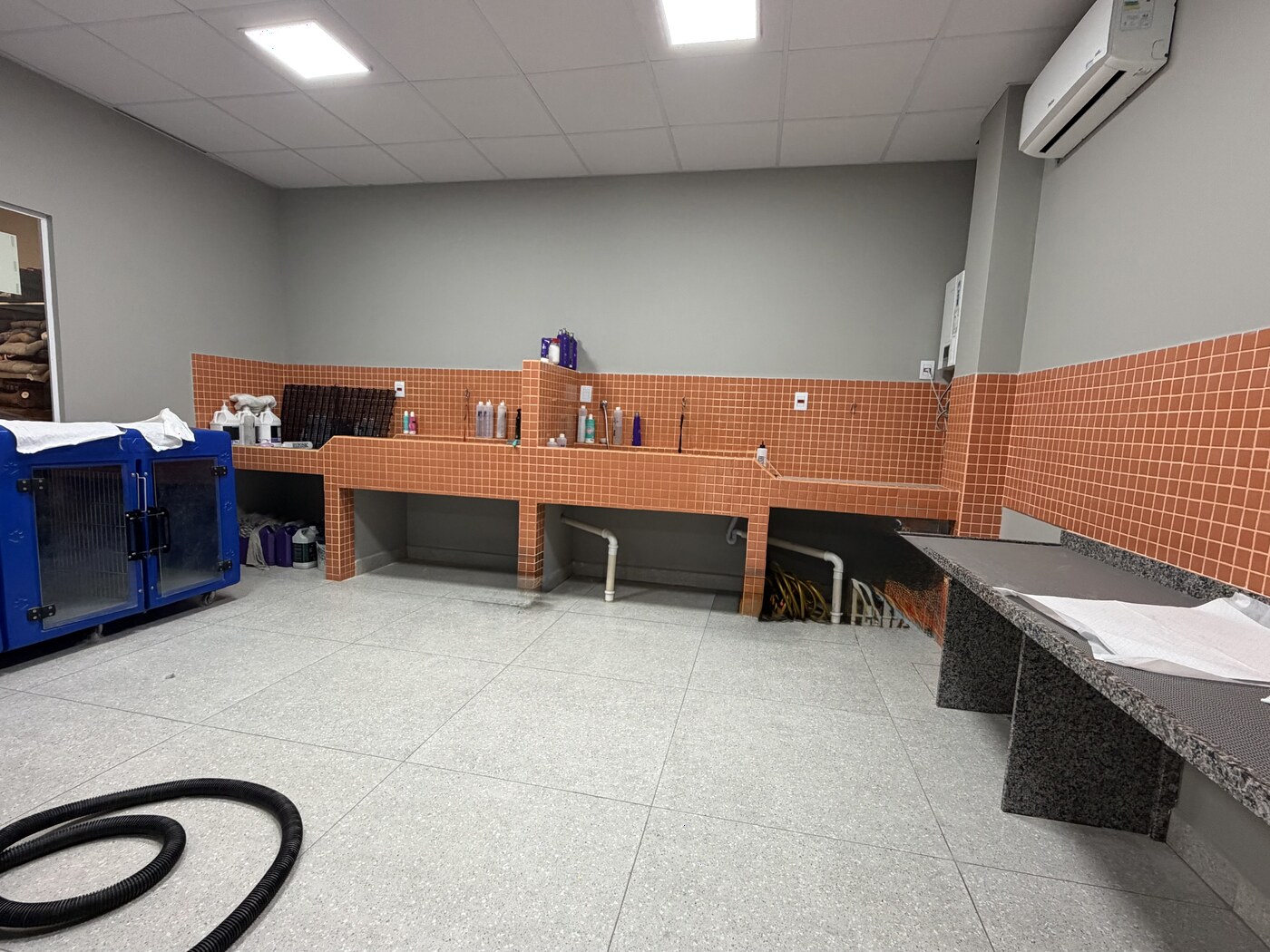 Área de banho e tosa da Vida Animal